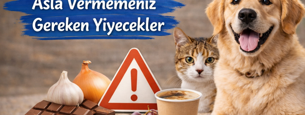 Evcil Hayvanınız İçin Asla Vermemeniz Gereken Yiyecekler